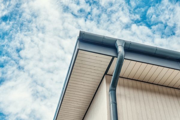 Gutter Fascia Repair in Seminole