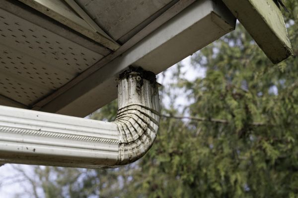 Cost of Roof Drain Replacement in Seminole