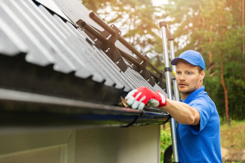Gutter Maintenance Service